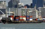 ID 12544 TACOMA TRADER (9932gt/13048dwt/IMO 9675810/1102TEU/ ex-SAMOANA.Renamed SCION MAFALDA) almost blends into the cityscape.
Seen here sailing from Auckland on 4 April bound for Noumea, she is operated by...