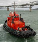 ID 14184 TURIHAUA (1977/104grt/IMO 7532040) heading for the finish of the 2025 Auckland Anniversary Day Regatta tug race.